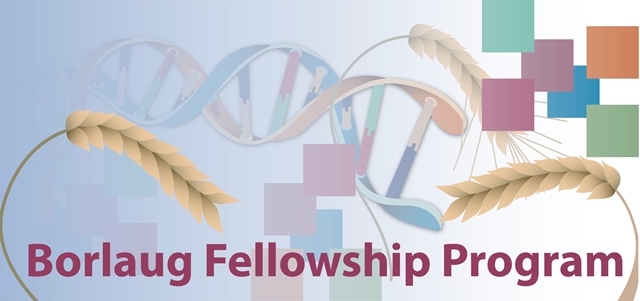 Borlaug International Fellowship Program