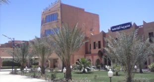 جامعة غرداية