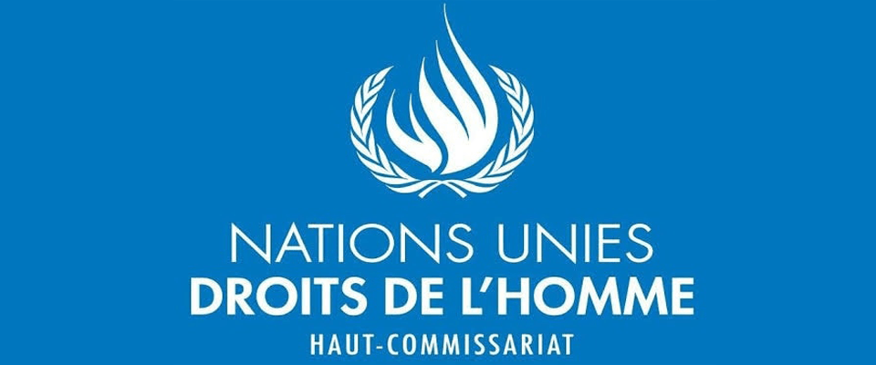 Nomination des Titulaires de Mandat spécialisée dans les droits de l’homme (juillet 2026-avril 2027) 